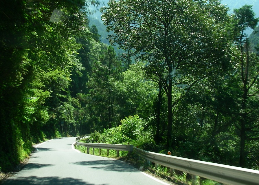 f:id:yama31183:20200530194421j:plain