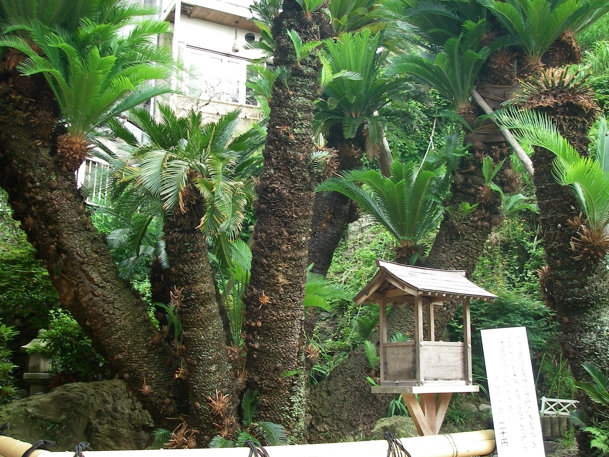 f:id:yama31183:20200622190034j:plain