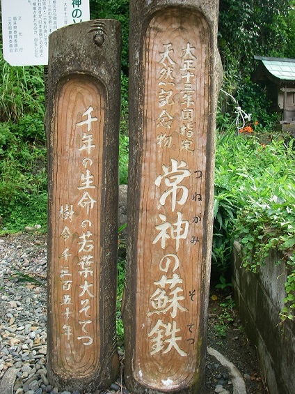 f:id:yama31183:20200622202202j:plain