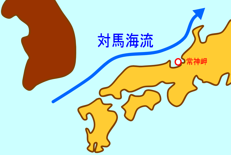f:id:yama31183:20200622231917p:plain