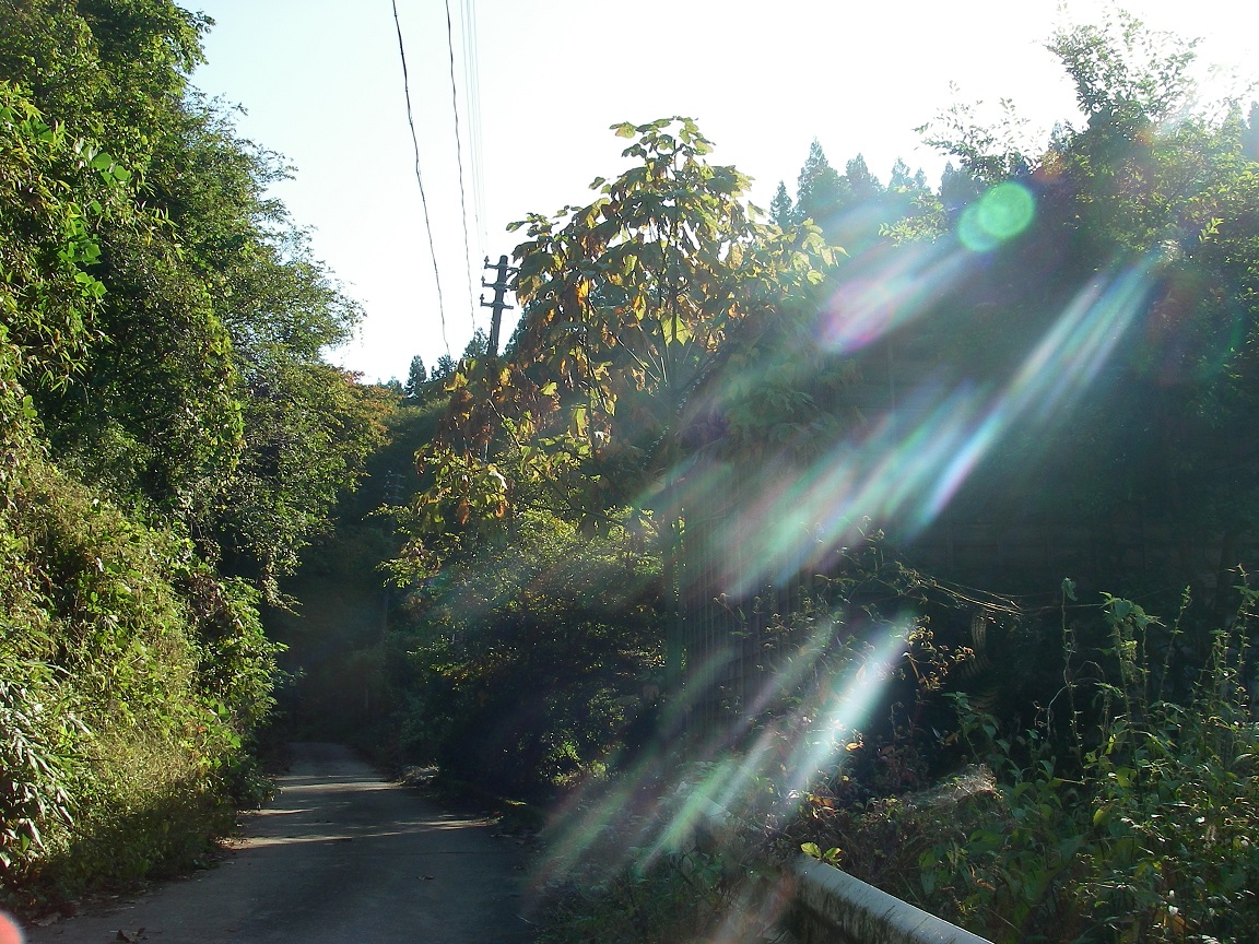 f:id:yama31183:20200627215045j:plain