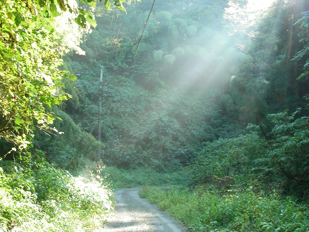 f:id:yama31183:20200628113352j:plain