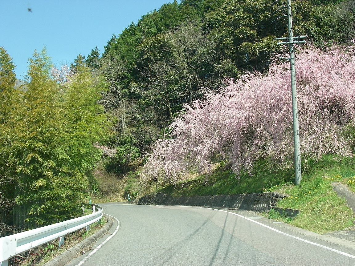 f:id:yama31183:20200722171348j:plain