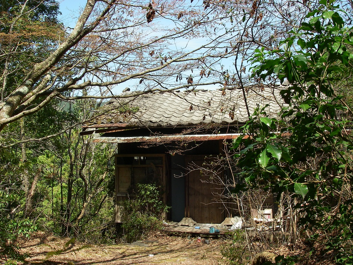 f:id:yama31183:20200723115723j:plain