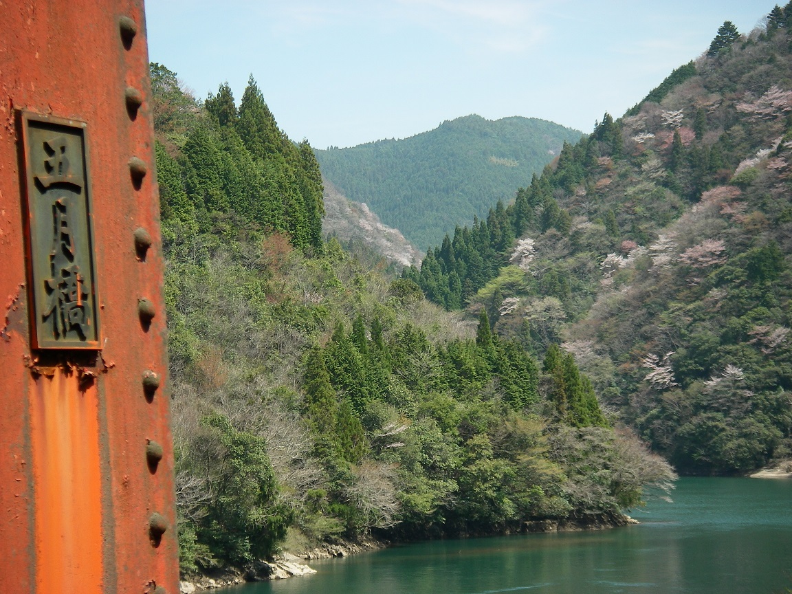 f:id:yama31183:20200725114734j:plain