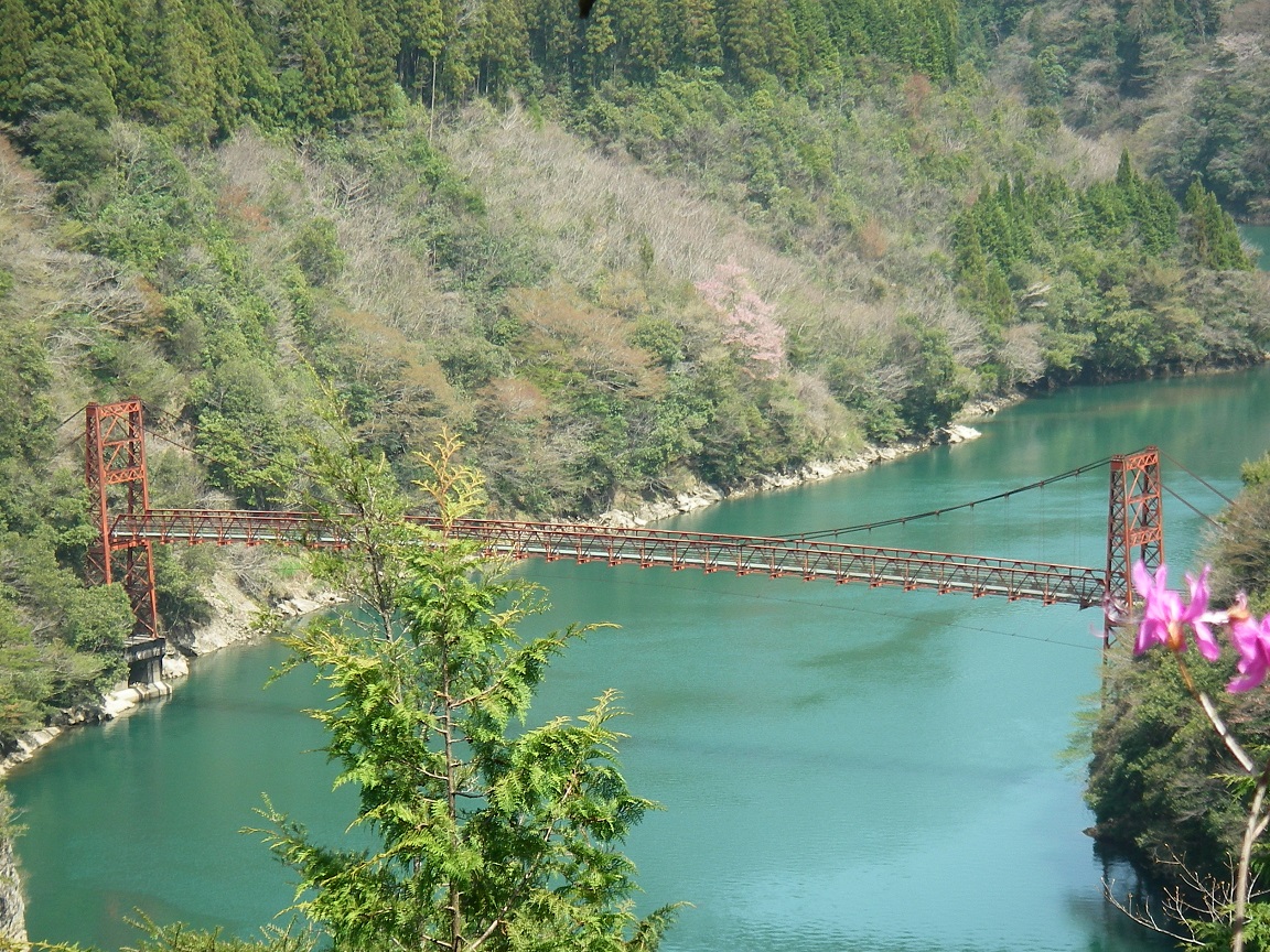 f:id:yama31183:20200725173959j:plain