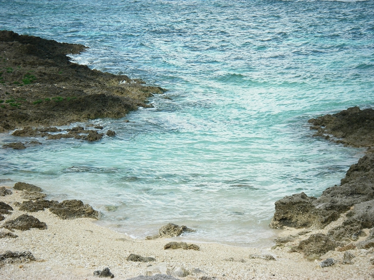 f:id:yama31183:20200809130838j:plain