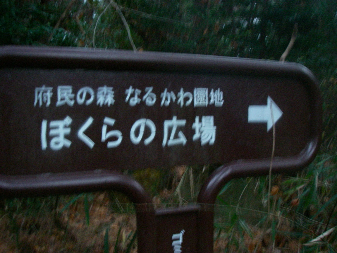 f:id:yama31183:20200812211459j:plain