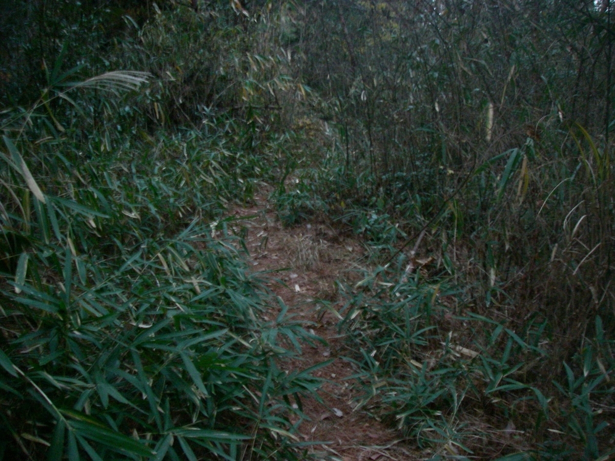 f:id:yama31183:20200812212836j:plain