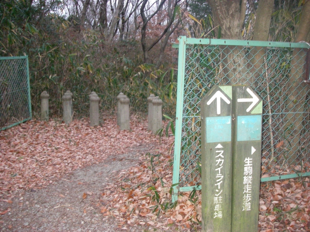 f:id:yama31183:20200812213223j:plain