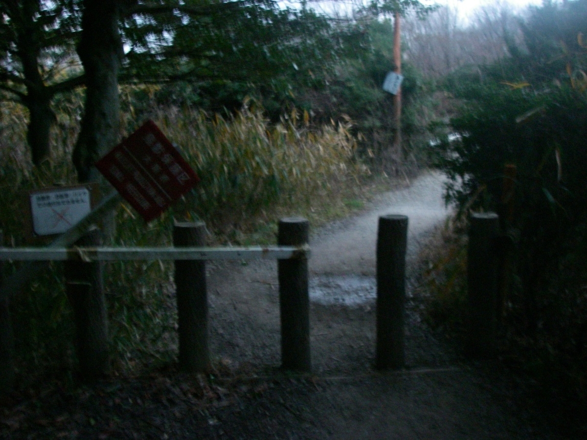 f:id:yama31183:20200812213557j:plain