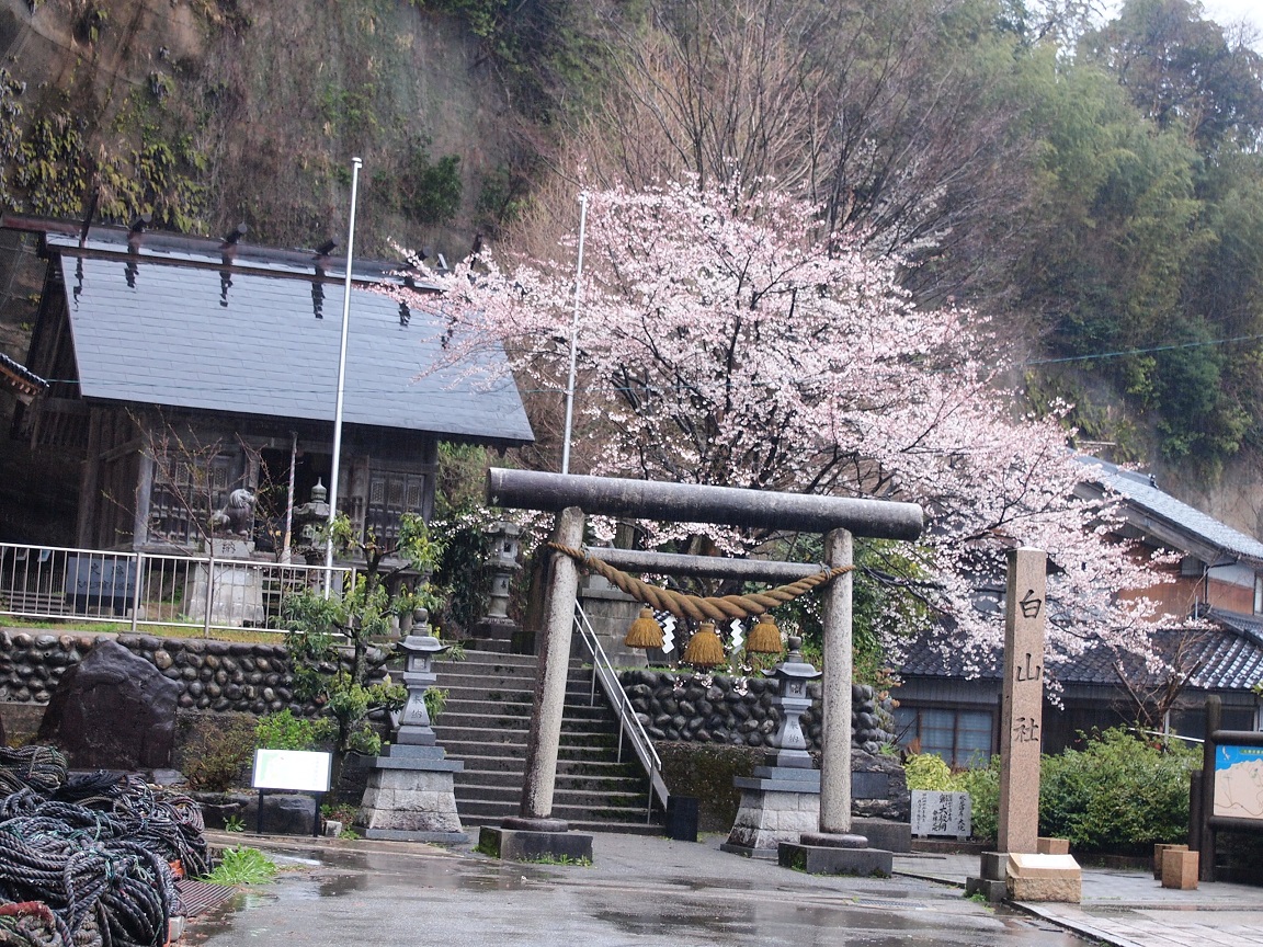 f:id:yama31183:20200826231952j:plain f:id:yama31183:20200826231952j:plain