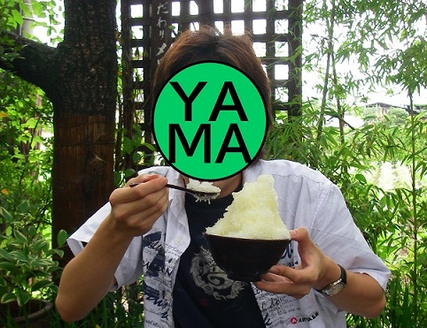 f:id:yama31183:20201130234005j:plain