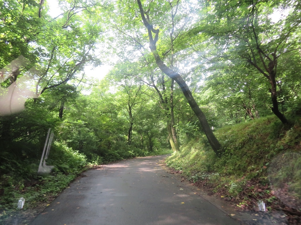 f:id:yama31183:20201207221242j:plain