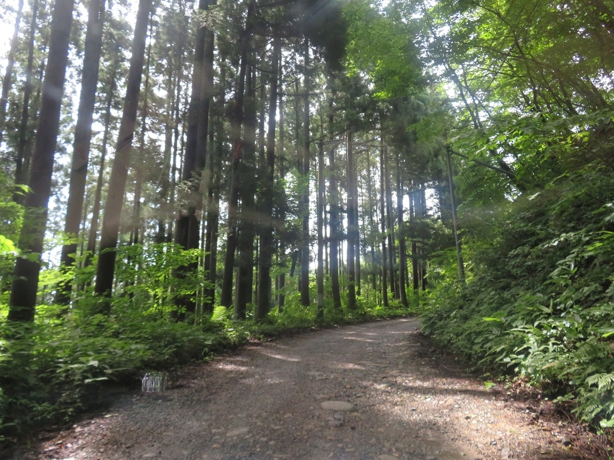 f:id:yama31183:20201207222238j:plain