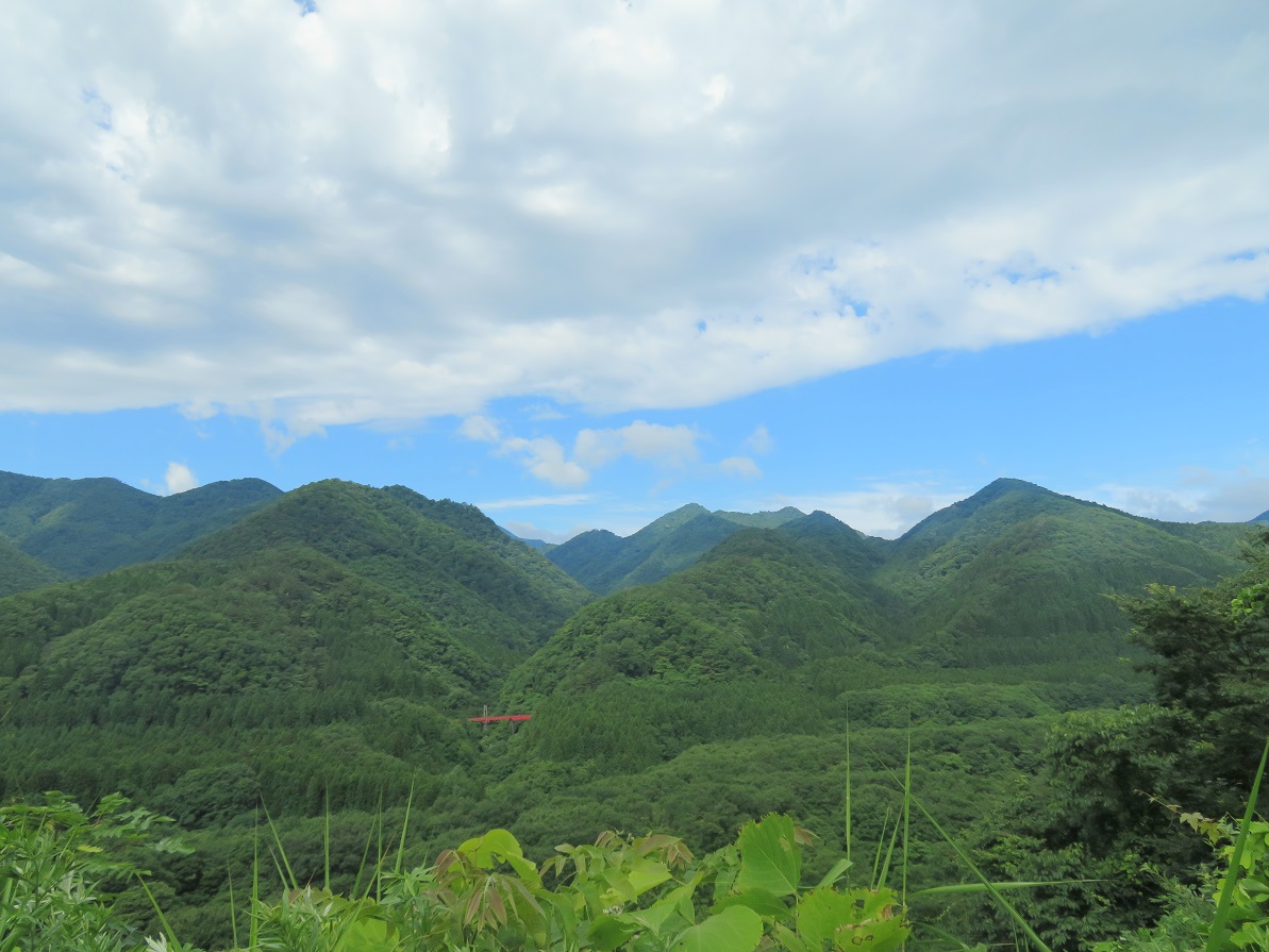 f:id:yama31183:20201207223053j:plain