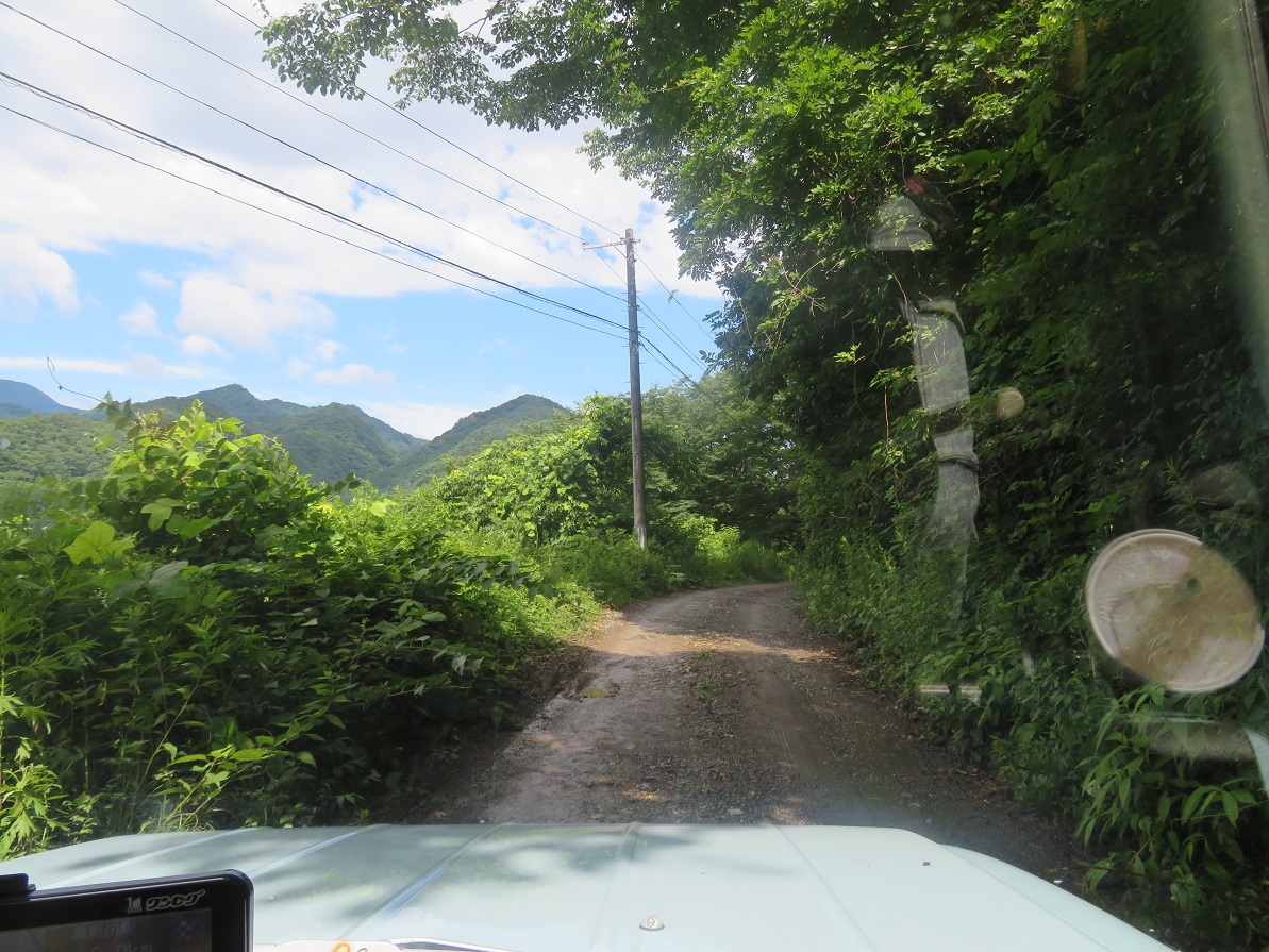 f:id:yama31183:20201207224246j:plain