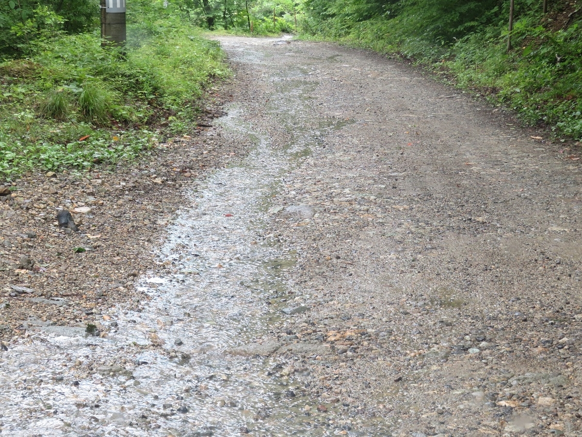 f:id:yama31183:20201207224455j:plain