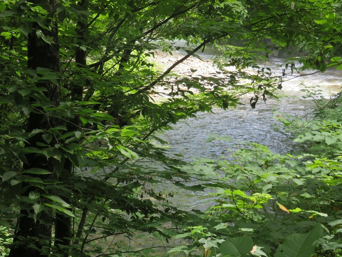 f:id:yama31183:20201207225912j:plain