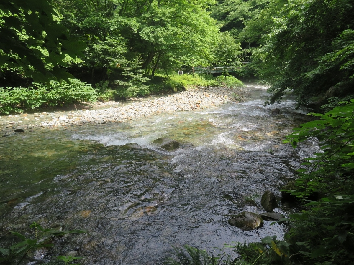 f:id:yama31183:20201207230117j:plain