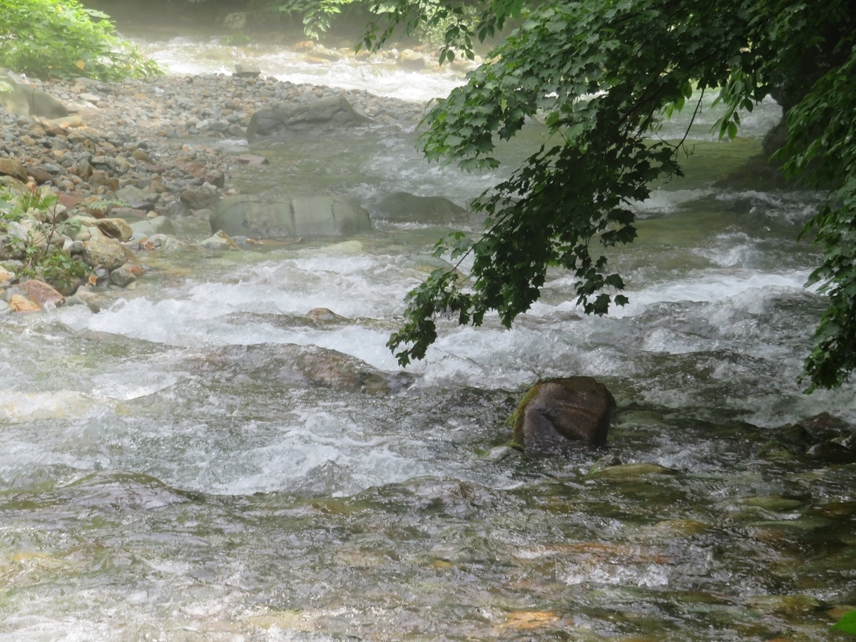 f:id:yama31183:20201207230439j:plain