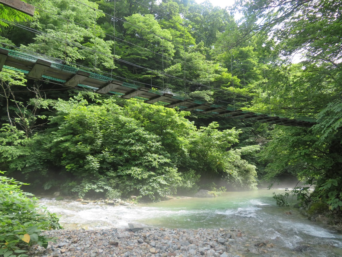 f:id:yama31183:20201208231632j:plain