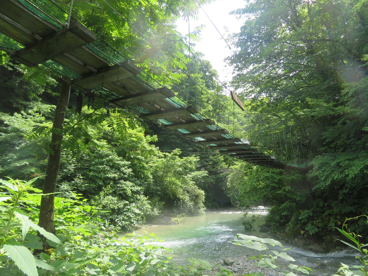 f:id:yama31183:20201208232111j:plain