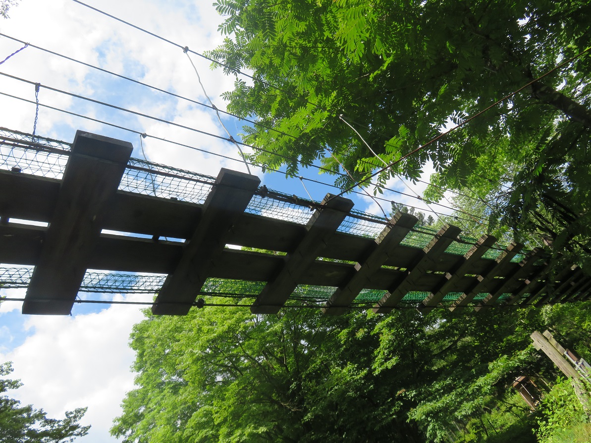 f:id:yama31183:20201208232237j:plain