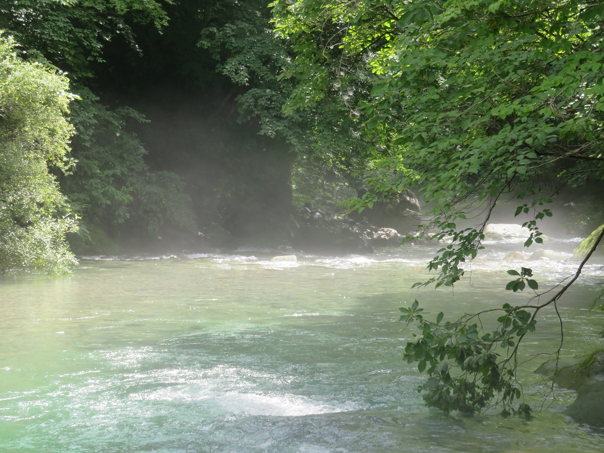 f:id:yama31183:20201208232345j:plain