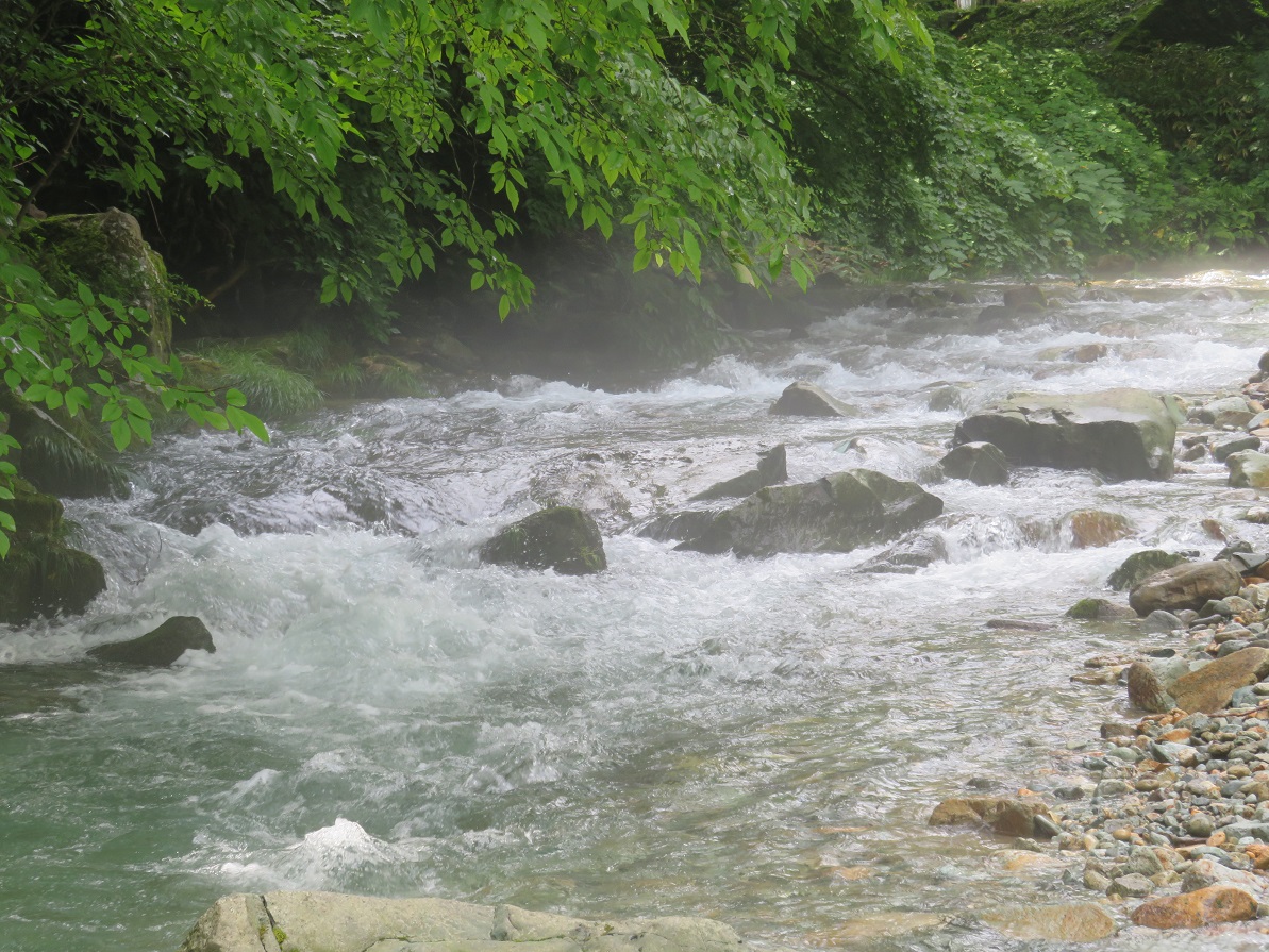 f:id:yama31183:20201208232852j:plain