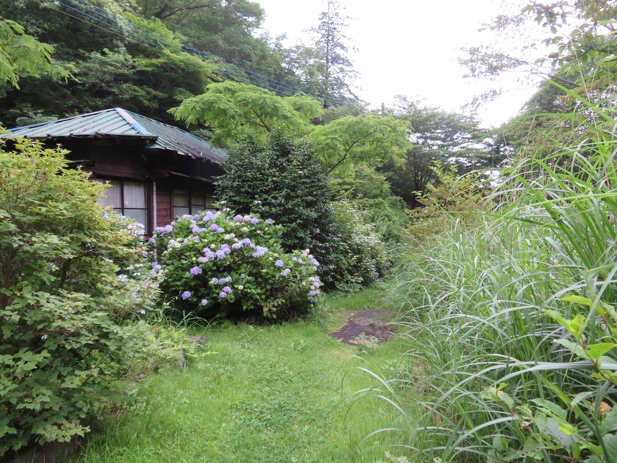f:id:yama31183:20201220115352j:plain