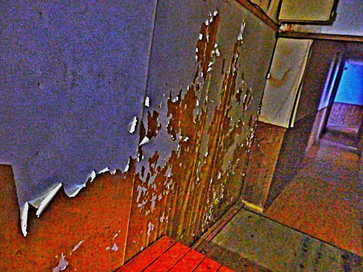 f:id:yama31183:20201220223446j:plain