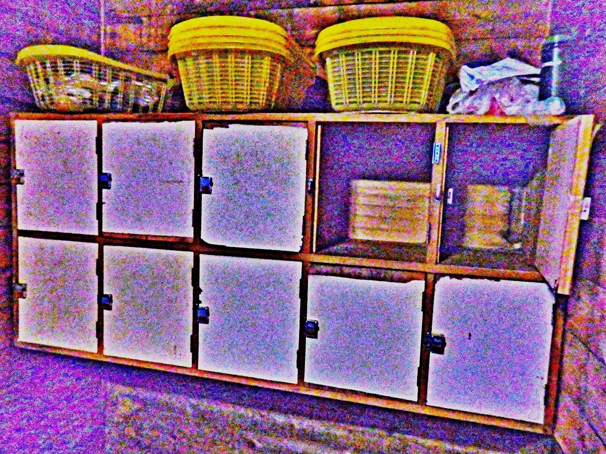 f:id:yama31183:20201220225007j:plain