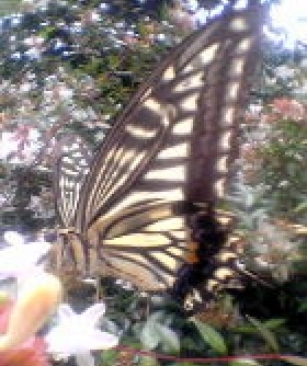 f:id:yama31183:20210120231250j:plain