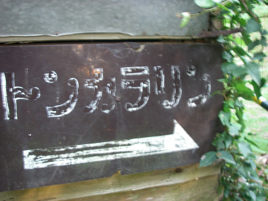 f:id:yama31183:20210206234807j:plain