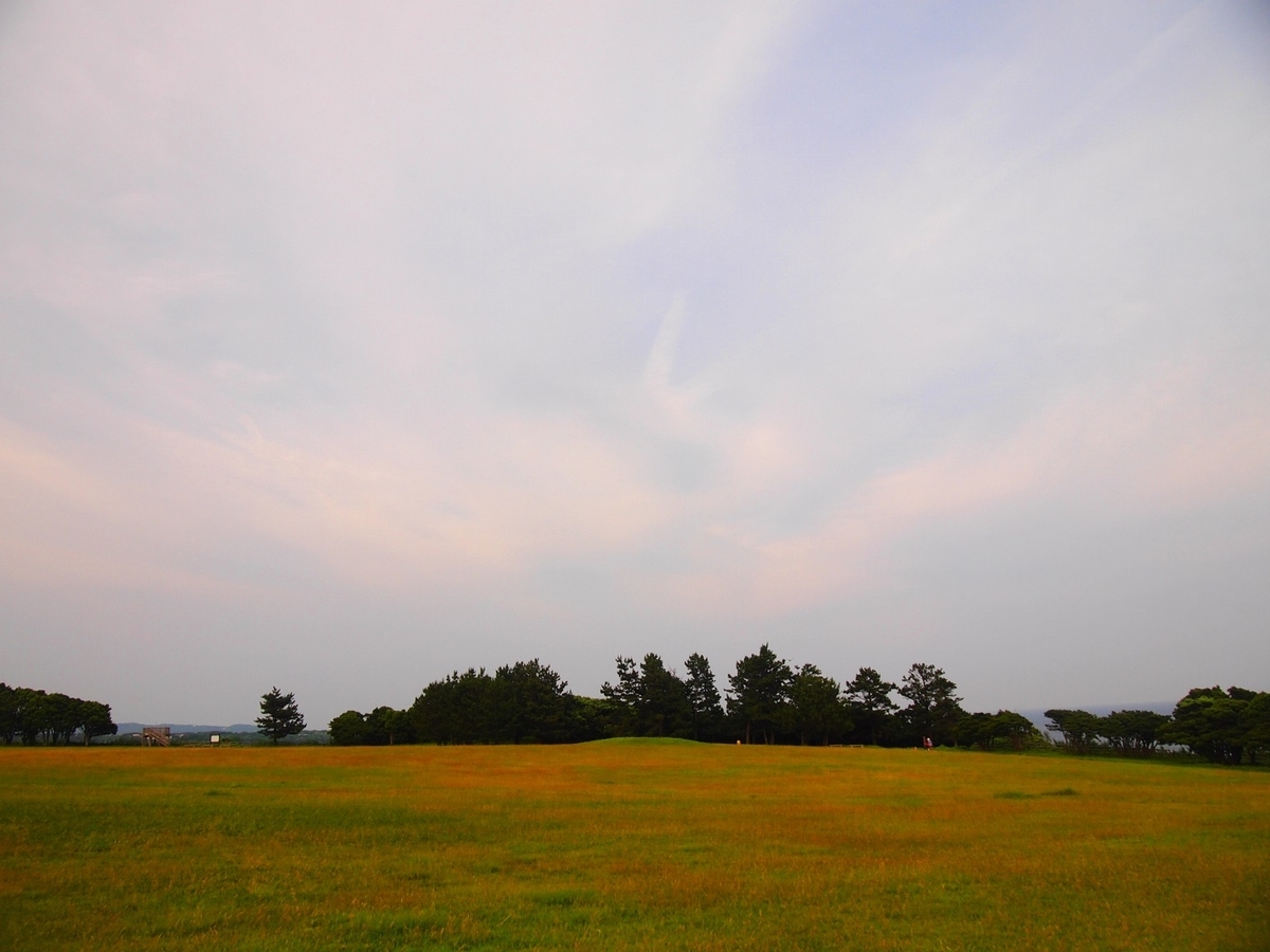 f:id:yama31183:20210306170219j:plain