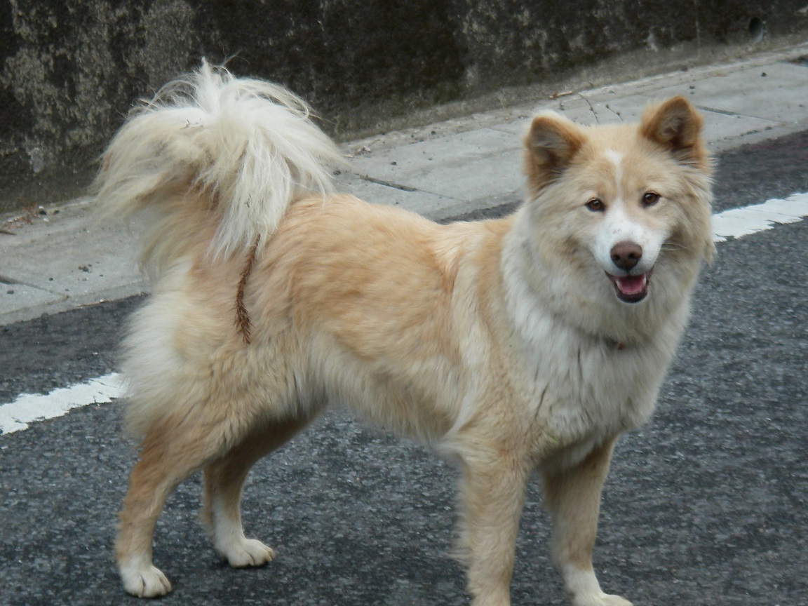 f:id:yama31183:20210310221437j:plain