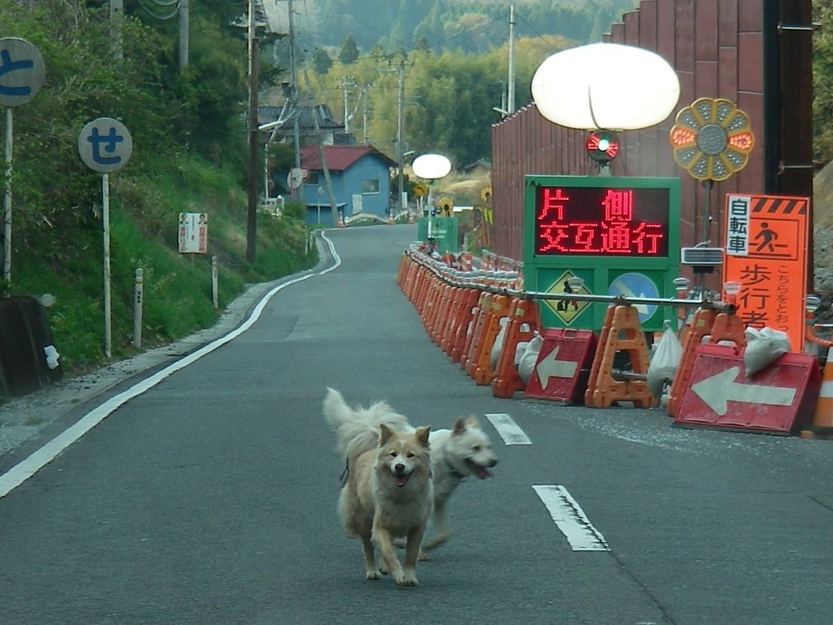 f:id:yama31183:20210310221703j:plain