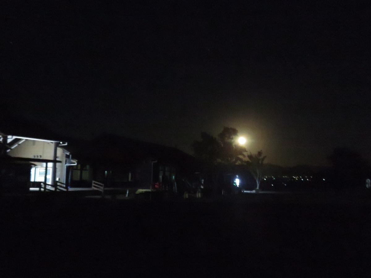 f:id:yama31183:20210512202652j:plain