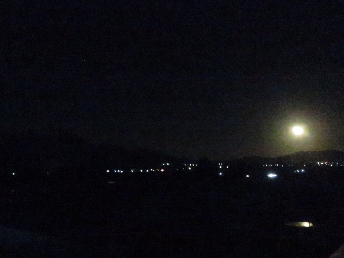 f:id:yama31183:20210512202957j:plain