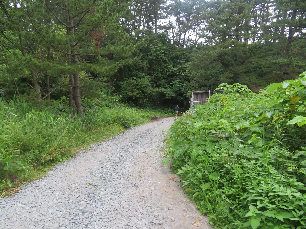 f:id:yama31183:20210731160615j:plain