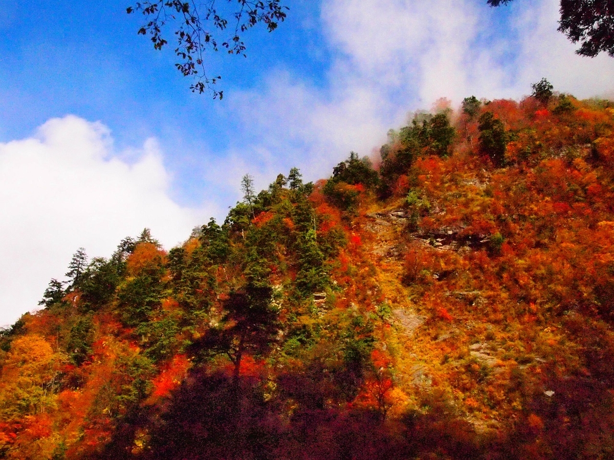 f:id:yama31183:20210917234528j:plain