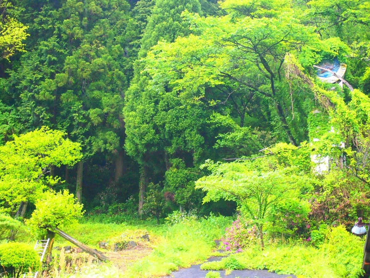 f:id:yama31183:20210920200051j:plain