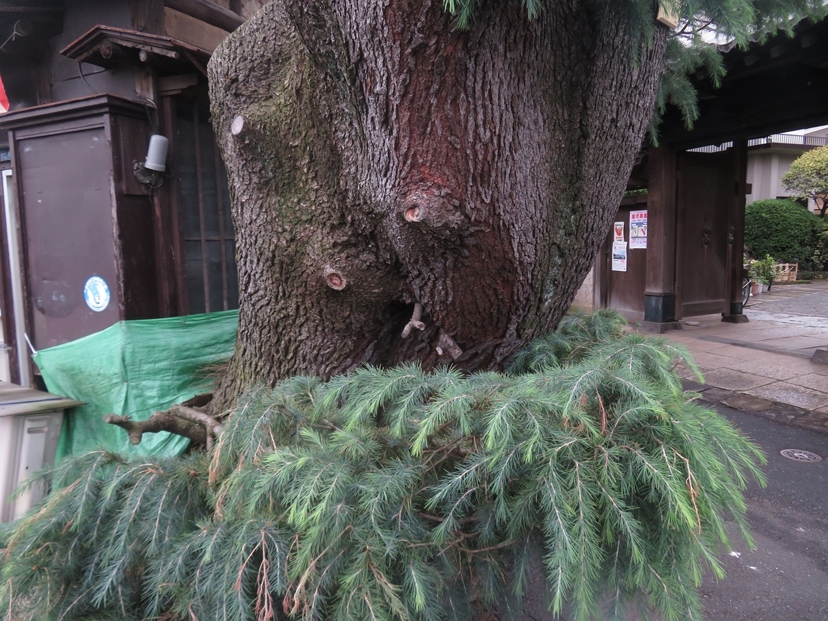 f:id:yama31183:20211024185043j:plain