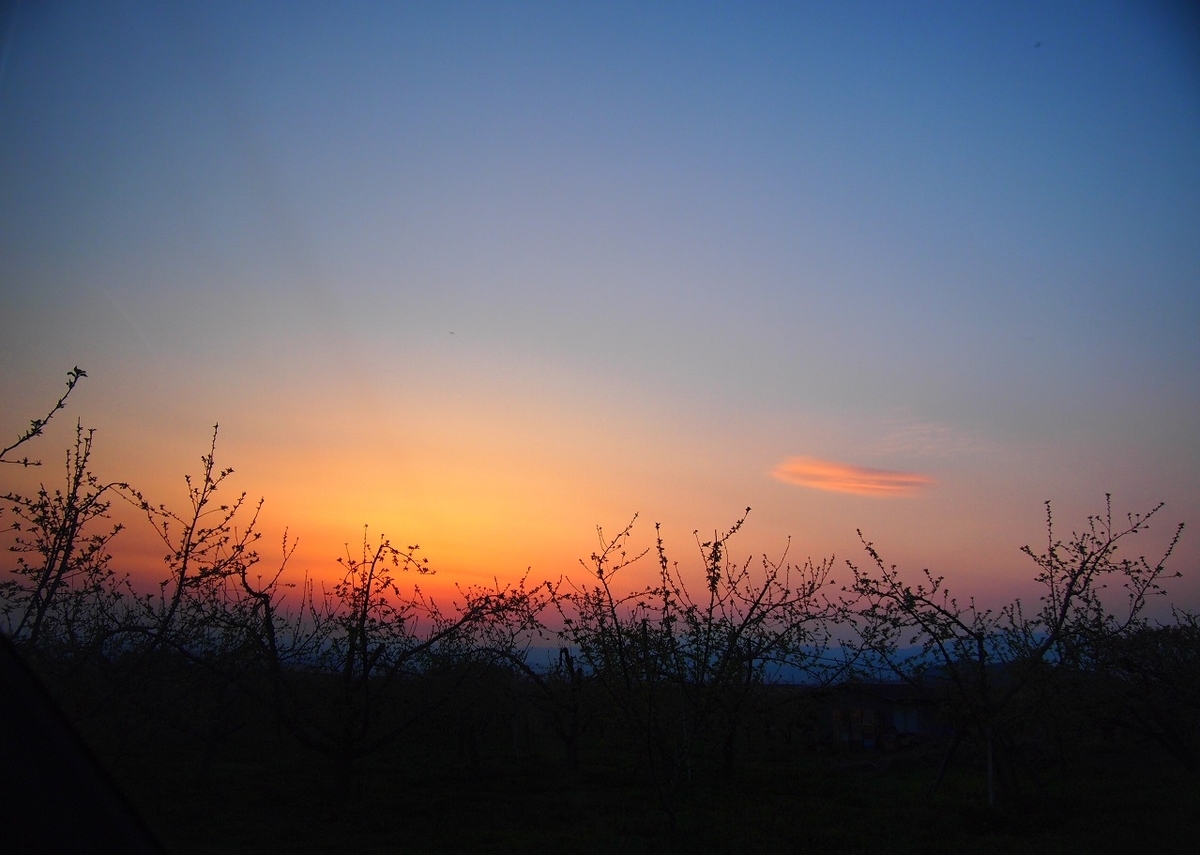 f:id:yama31183:20211129190408j:plain