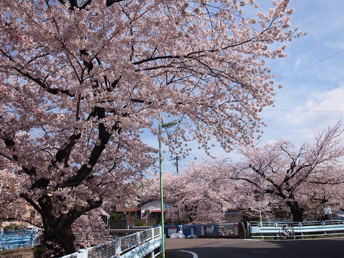 f:id:yama31183:20220323182227j:plain