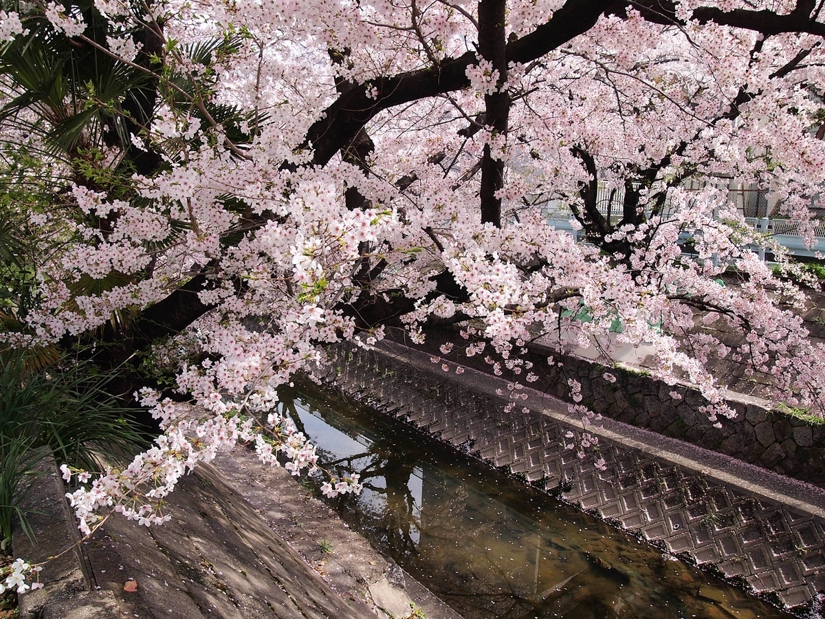 f:id:yama31183:20220323211909j:plain