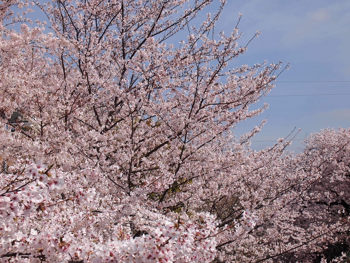 f:id:yama31183:20220323213301j:plain