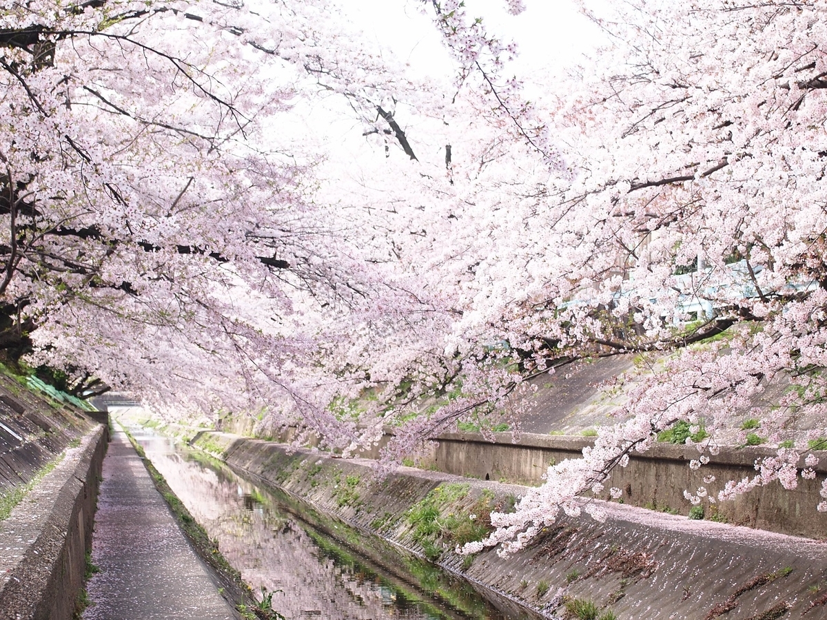 f:id:yama31183:20220323213652j:plain