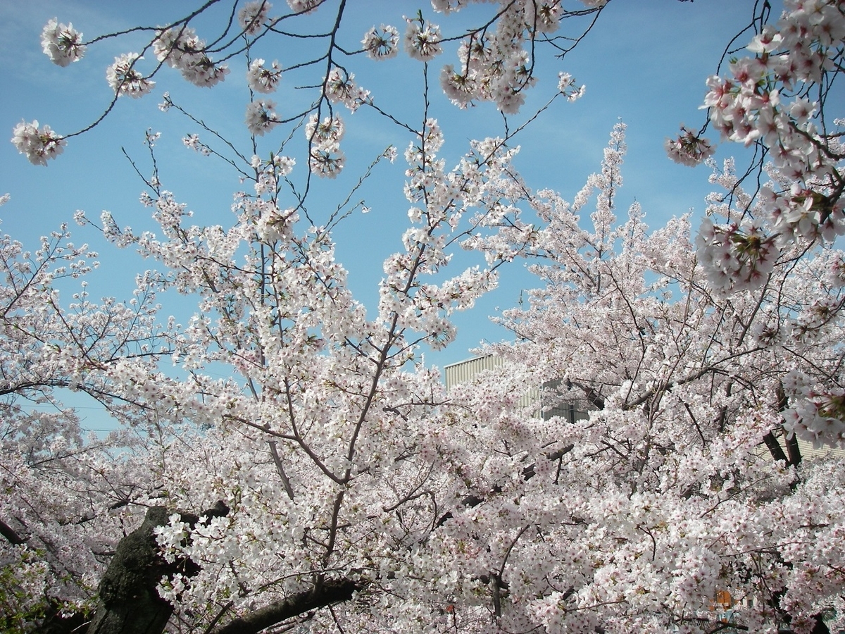 f:id:yama31183:20220323215316j:plain